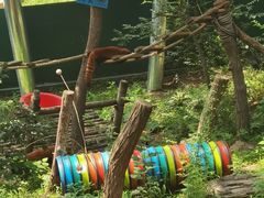 -大连森林动物园