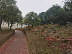 -洨河生态公园