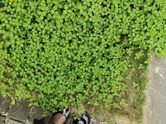 -驿舍·民國老营房院子私房菜(科学会堂店)