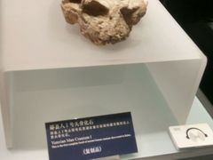 -湖北省博物馆