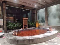 -弘安丽水温泉酒店