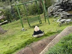 -杭州野生动物世界