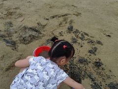 -碧海金沙