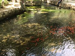 -水磨沟公园