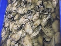 -蚝乡农庄(铁涌赤岸店)