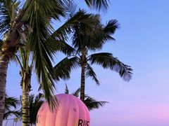 -玫瑰海岸文化旅游度假区