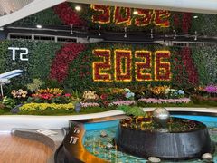 -广州白云国际机场-T2航站楼