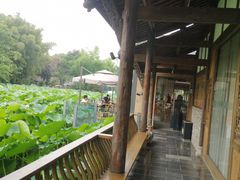 -莫催咖啡