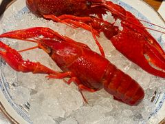 -Mr·Fish鱼鲜生海鲜放题(银泰in99店)