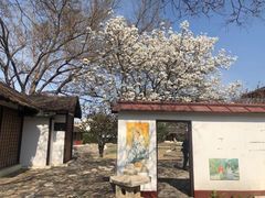 -北京世界公园