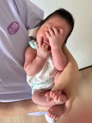 -添囍月子会所