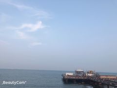 赶海海鲜粥-港畔赶海蒸汽海鲜烧烤自助(仙螺岛店)