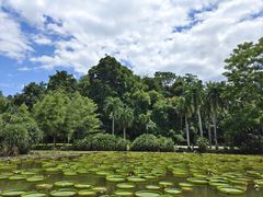 -中国科学院西双版纳热带植物园