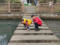 -桤木河湿地公园