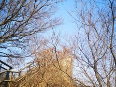 -紫金山山顶公园