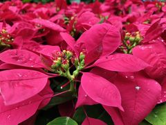 -南京东郊国宾馆