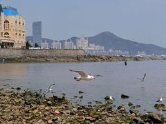 -黑石礁公园