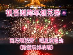 -南京银杏湖乐园