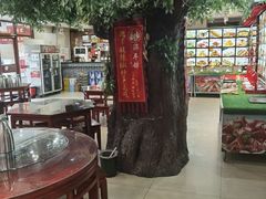 -邵年鸽(杨庄店)