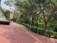 -九龙公园