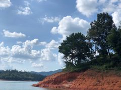 -广州市流溪河国家森林公园