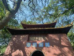 -普陀山风景名胜区-法雨禅寺