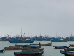 -海源公园