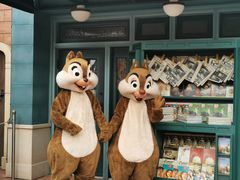 -上海迪士尼度假区