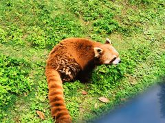 -黔灵山公园