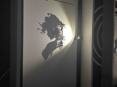 -诚毅科技探索中心