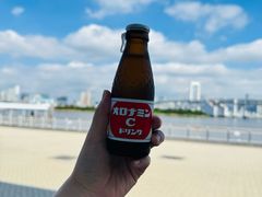 -台场海滨公园船码头
