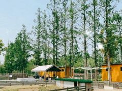 -前小桔亲子创意农场·草莓采摘·露营烧烤