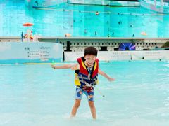 -海合安成都极地海洋公园