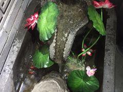 景观位-窄巷子陕菜馆·地道陕西菜(粉巷店)