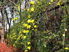 -杭州城北体育公园