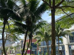 -观澜湖新城运动奥莱区