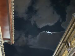 -喵屿·大理花园猫咖