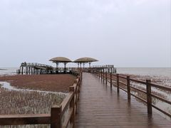 -红海滩国家风景廊道