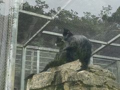 -黔灵山公园