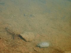 -南京市无想山景区