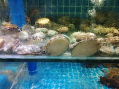 -良师门滨海人家·海鲜·家常菜(滨海城店)