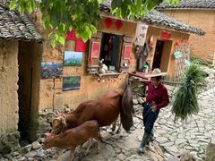 -杨家堂村