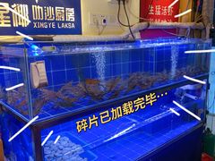 水产区-星椰叻沙·椰浆鲜虾面(江南西店)