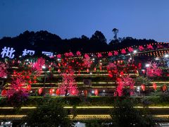-枇杷园食为鲜火锅(南山店)