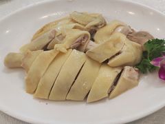 白切鸡-津津菜馆(绝没分店)