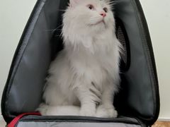 -美联众合24小时·皮肤科·外科·全科诊疗中心(华苑分院)