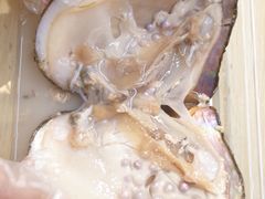 -Oasis绿洲银饰珍珠手作diy(壹方城店)