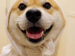 -湘汇概念铁板烧(铁西万达店)