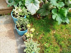 -嘉华饼屋JOY BAKERY(南屏街店)