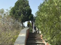 -圣莲山风景区